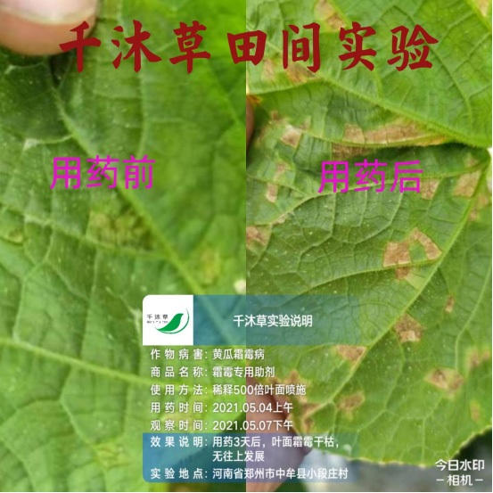 未标题-3.jpg