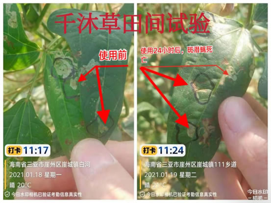 未命名-17.jpg